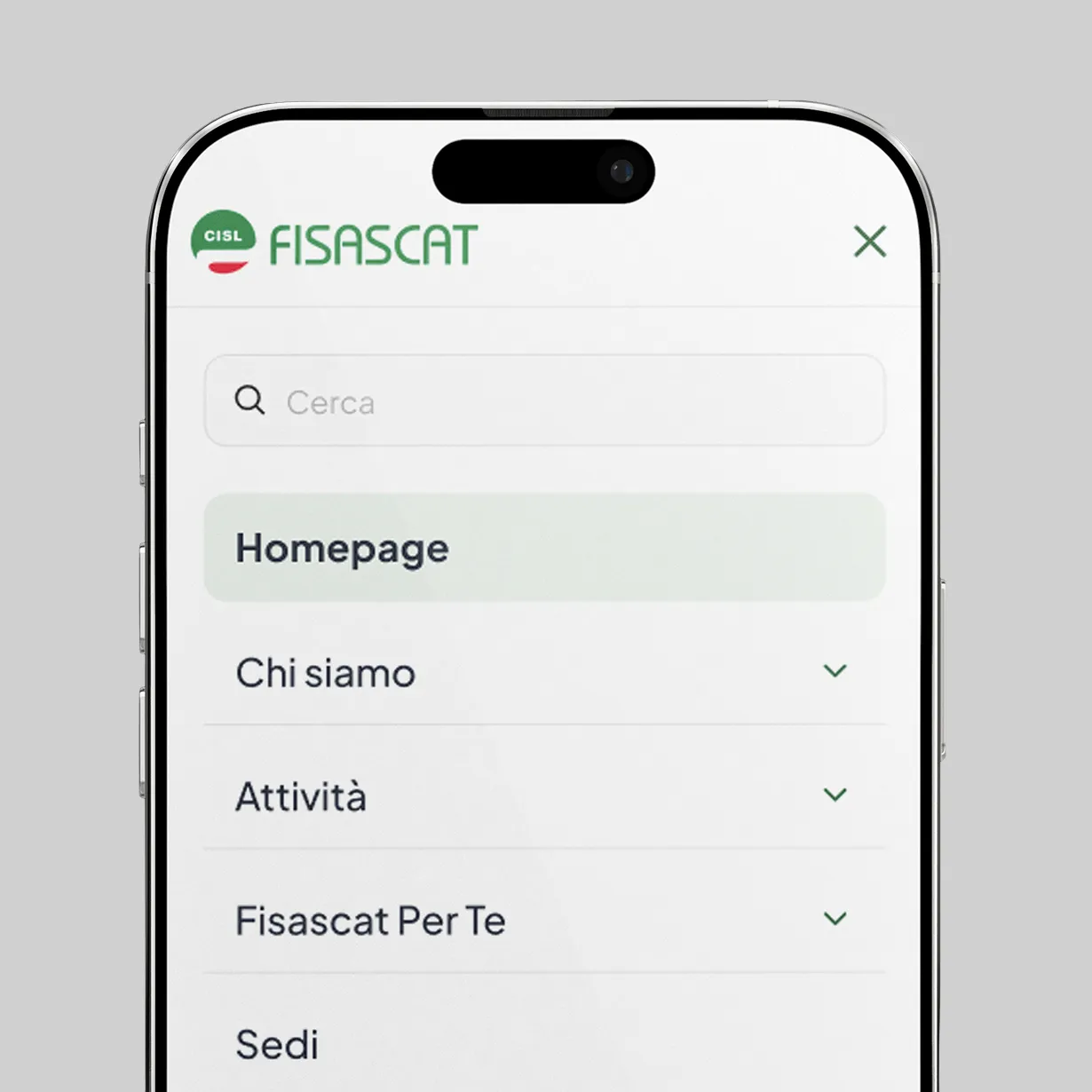 UI Fisascat: dashboard principale